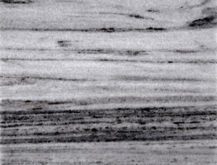 Palisandro Light Vein Cut