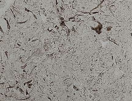 Emelas Pearl Limestone